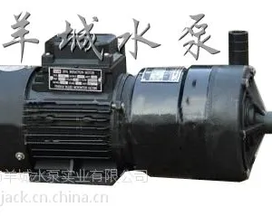 羊城水泵|东莞CQF磁力泵|CQF20-15-105|肇庆不锈钢水泵|深圳水泵厂