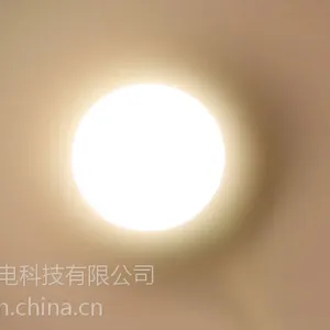 博瑞家禽养殖灯——3W暖白塑包铝球泡