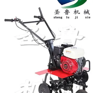 ����΢������Ӧ���� ʥ³***����������
