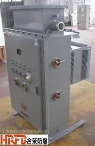 供应化工厂BQP-系列防爆变频器