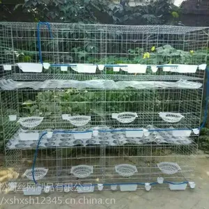 鸽笼|产品质量经得起验证|河北鸽笼质量可靠|鸽子笼|松衡鸽笼质量保证