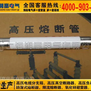 高压高分断限流熔断器 XRNP1-12KV/0.5A-3.15A高压熔断管