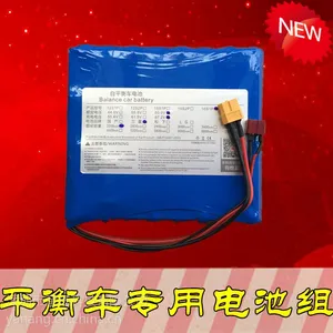 独轮车电池组67.2V 进口平衡车火星车专用动力锂电池 电源