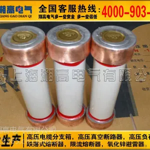 RWJ-40.5户外高压限流熔断器 RXWO-35高压保险管