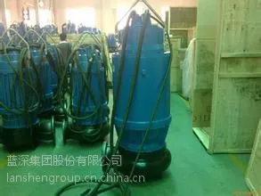 �����ҵ����ˮ��WQ600-12-30
