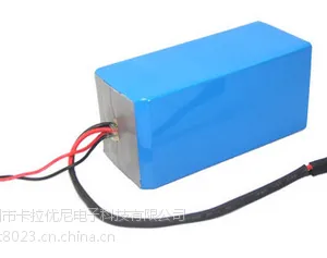 ��Ӧ24v8Ah﮵�ض�ͯ�綯ͯ��﮵���� �ɶ���