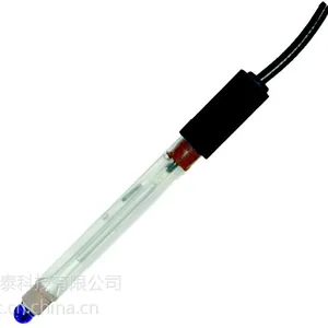 CA92618在线pH电极E-1312-EC1-M10ST