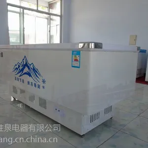 ���е��� �߲˺��ʵ��չʾ�� ��ʽ����䶳���ʹ�ͭ�ܲ����䶳��