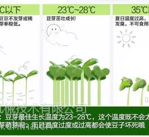 济南全自动豆芽机器价格,科华大型豆芽机械设备厂家