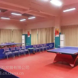 供应高效节能不晃眼不反光乒乓球场灯具--亮灿牌