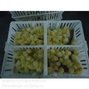 �����б��ϴ����ϼ���������