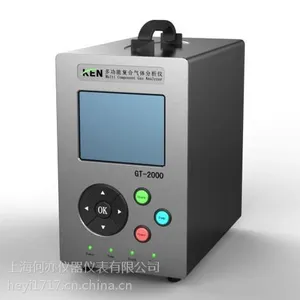 GT-2000硫化氢气体检测仪