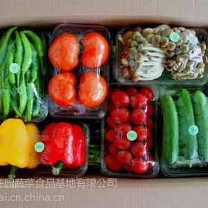 供应七彩庄园精品蔬菜礼盒 绿色礼品套菜 箱装净菜 超市*** 寿光套菜