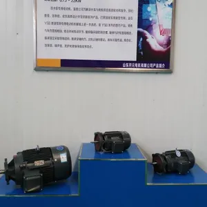 ��Ӧ������YZSBϵ��ֱ��ʽˮ��ר�õ綯��