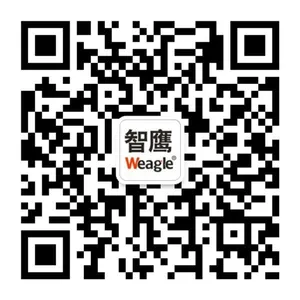 汕头市澄海区莲下广兴塑料玩具厂