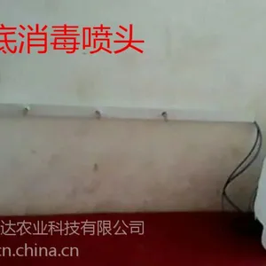 ���򳡡�������ţ������ţ����Ա����������Ա�Զ�����������������������