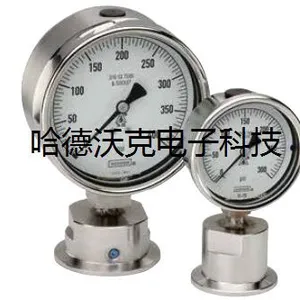 NOSHOKŬФ�˻�еѹ����25-310-300psi-1/4-NPT(��������)