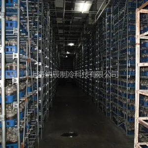 供应食用菌冷库,冷库设计,冷库安装