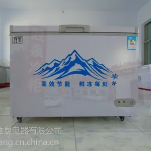 ȫ������ ʤȪ������ʽ�������290������ ����䶳����� ***