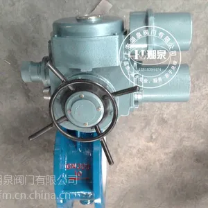 ZDRW-16������ú���綯���� ������ú���綯����ZDRW-16C DN100