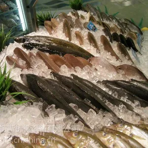 【美特斯制冰】东北制冰机厂家、辽宁吉林黑龙江食品厂制冰机价格、辽宁火锅自助海鲜制冰机。