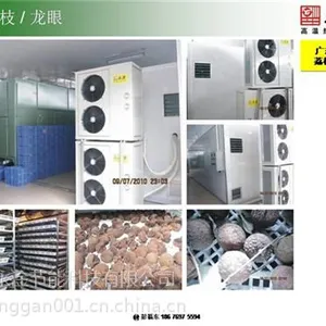 荔枝烘干、杭州福瑞斯永淦(图)、荔枝烘干机