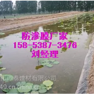 养殖专用防水布|浅水藕池防渗膜|郑州防渗膜厂家