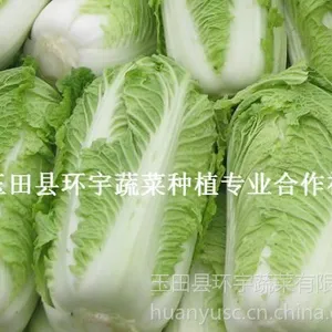 ��Ӧ�ӱ����������ʱ������Űײ� ����̰ײ� ������ײ� ��ײ˴�����Ӧֱ��