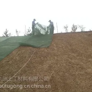三维植被网，边坡植草绿化