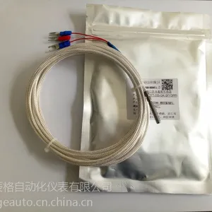 PT100热电阻 武汉辰格 进口品质 厂家供应