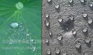 �л�����ˮ�� ɰ����ˮ�� �²�ΰҵ