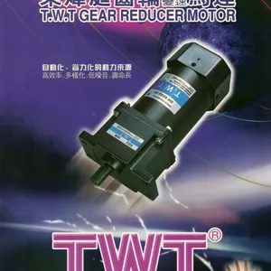东炜庭电机TWT东炜庭小马达东莞大量现货***供应