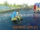 供应中山防水公司坦州地下室防水伸缩逢防水天面大面积防水施工