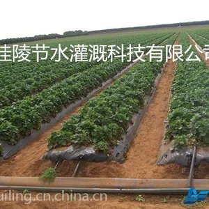 滴灌的模式将要逐渐的遍地开花在农业种植上
