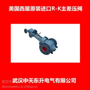 密封油系统R-K RUGGLES-KLINGEMANN主压差阀R-K主差压阀