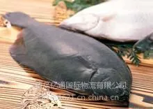 青岛进口零食清关代理公司/青岛进口海鲜水产品清关代理公司