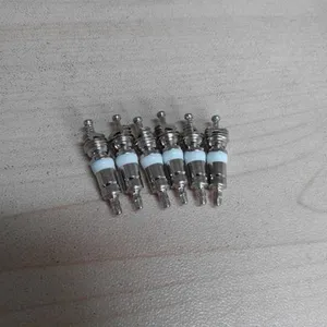 消防设备用承受压力30MPa高压气门芯9010