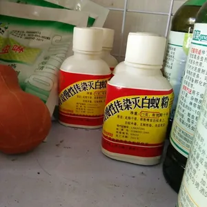 官窑白蚁***除四害公司上门检测服务