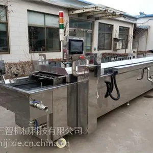 娄底油炸机多少钱一台、山东三智机械(在线咨询)