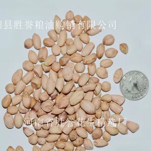 8个粒花生米 河南优质花生 生花生米 厂家批发白沙 正阳花生米 胜誉花生