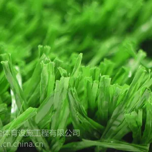 足球场用草