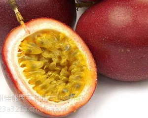 海南百香果批发
