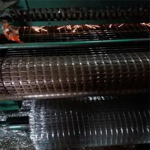 Ĩǽ�纸������ �ֽ�������� ����������