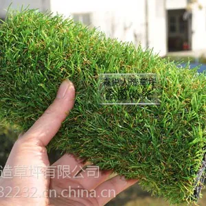 20mm��ɫ��������ƺ�׶�԰ר�÷����ƺ-ɭ�������ƺ