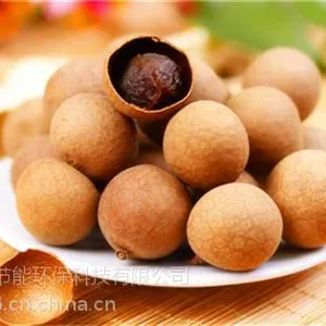 福瑞斯永淦物料干燥专家,烘干机厂家,芒果烘干机厂家