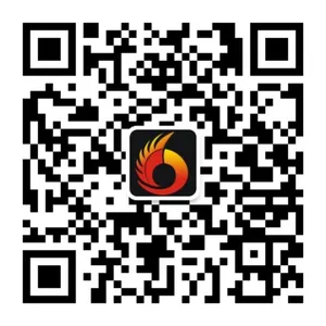 四川飞度文化传播有限公司