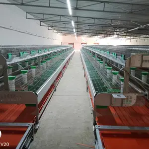 רҵ������������ ��ë�÷���һ���� �Զ�ι������ʽ���÷�ֳ���۸�