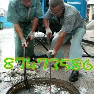 ��Ӧ������Žֻ��������������񿾮������������������ 87473586