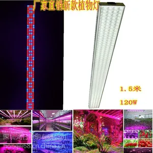 深圳厂家 鸿日照明 LED植物生长灯 花卉培育灯 蔬菜生长灯 植物补光灯 鸿日照明