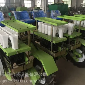 天马移栽机可以在膜上移栽各种蔬菜,瓜果苗种植